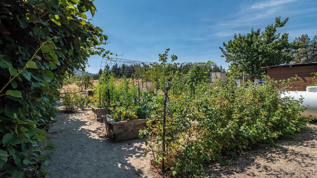 Photo of Outdoor in Roseburg