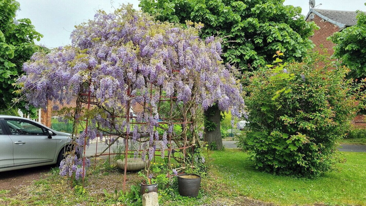 Photo of Outdoor in Avesnes-sur-Helpe