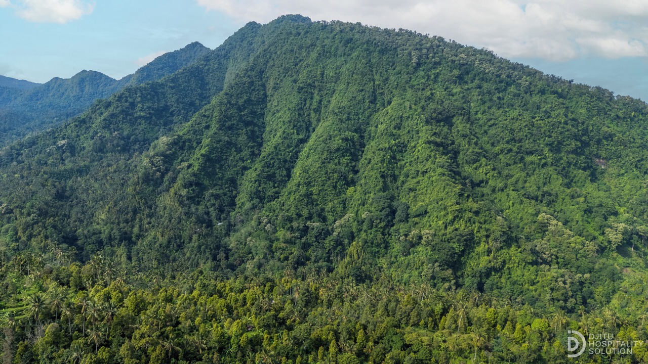 Photo of Others in Sawan