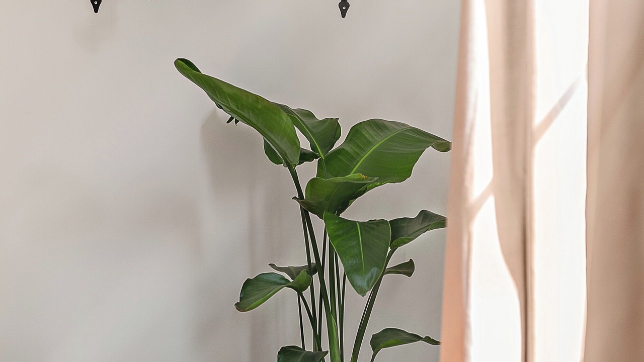 Photo of Others in Coteaux Ouest