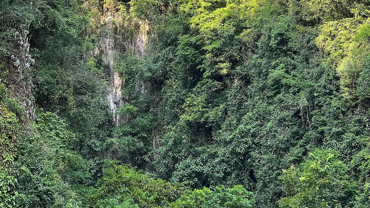 Photo of Others in Hulu Kinta