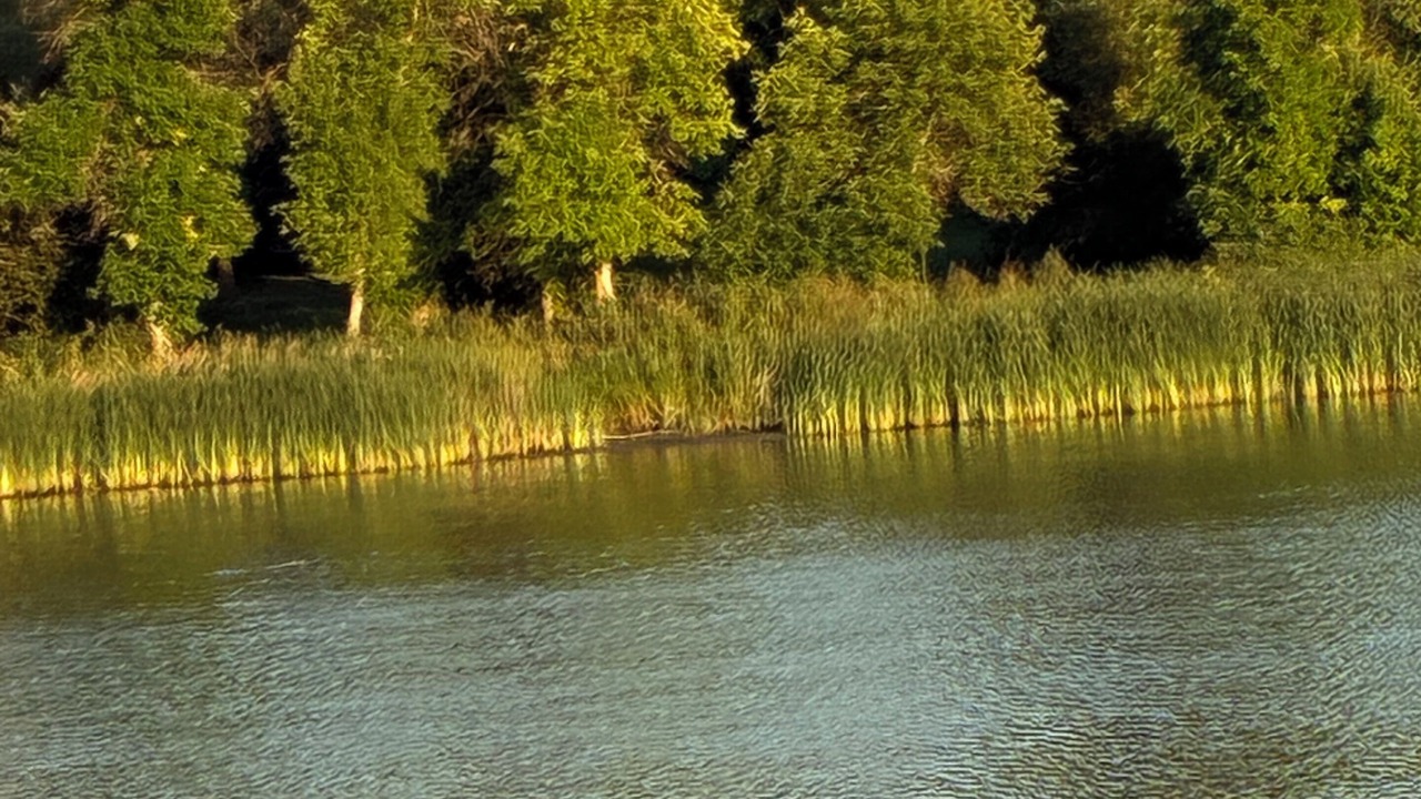 Photo of Others in Selkirk