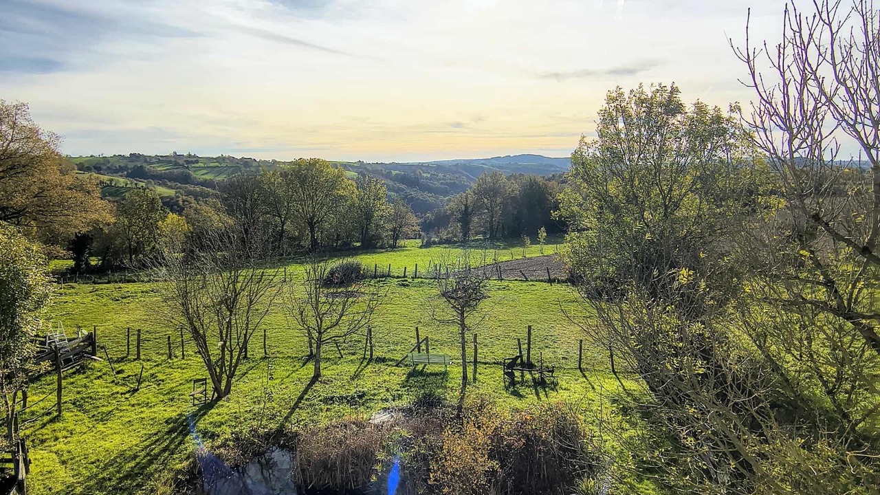 Photo of Others in Centres