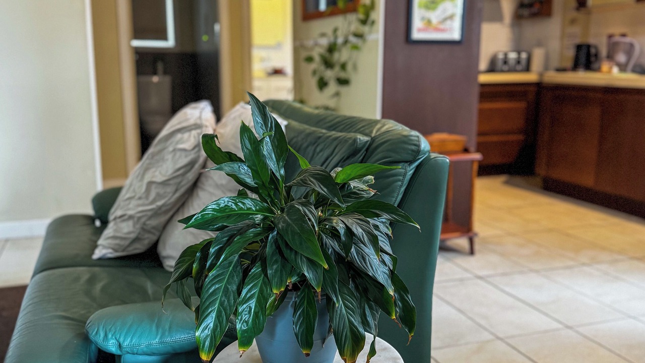 Photo of Patio Balcony in Paterson