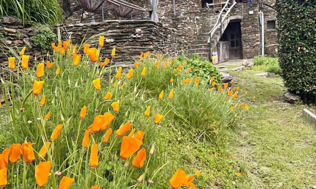 Photo of Outdoor in Saint-Frezal-de-Ventalon