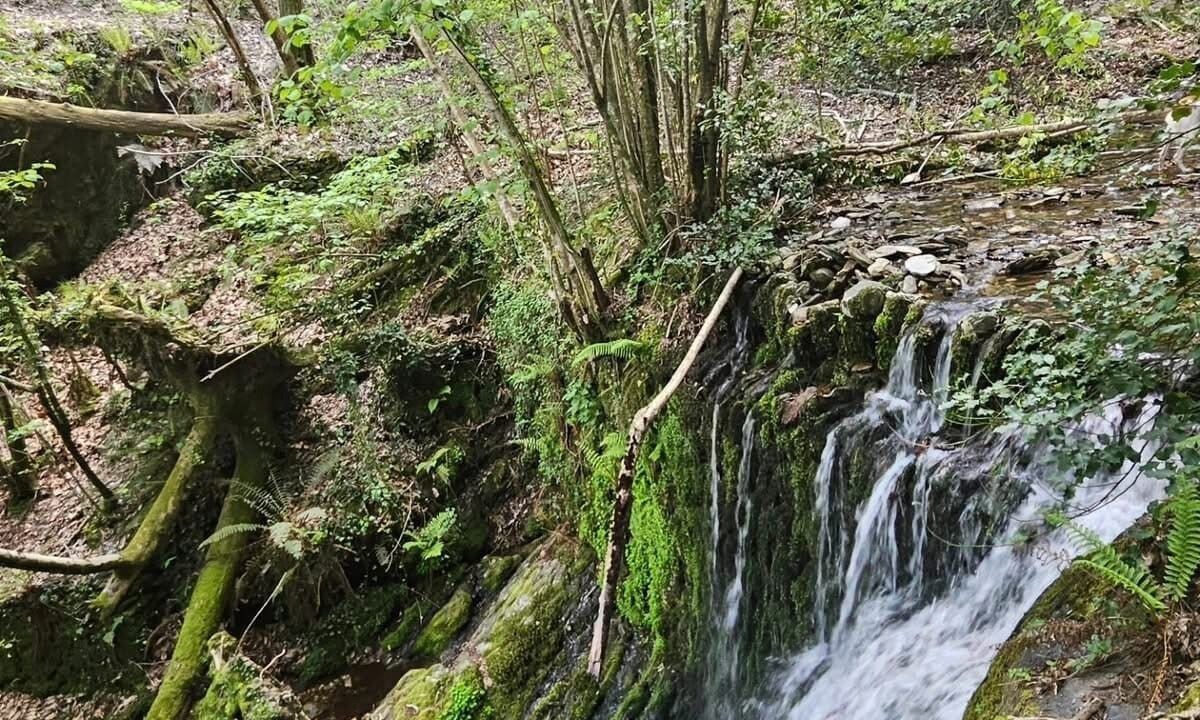 Photo of Outdoor in Saint-Frezal-de-Ventalon