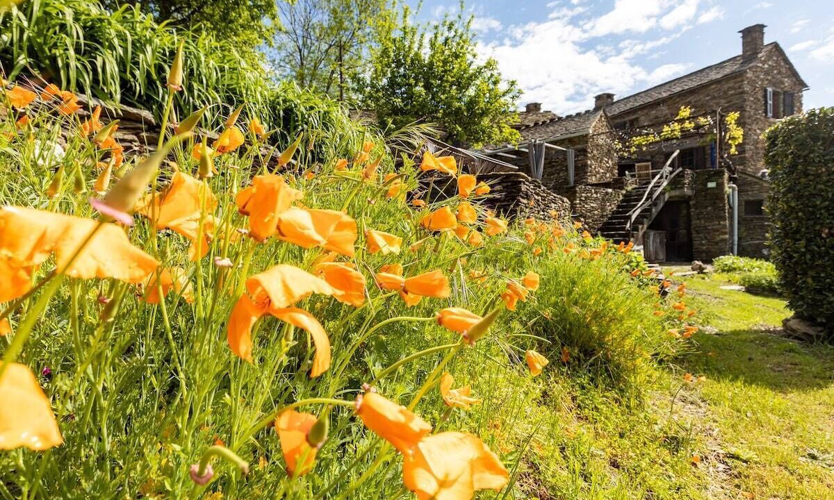 Photo of Outdoor in Saint-Frezal-de-Ventalon