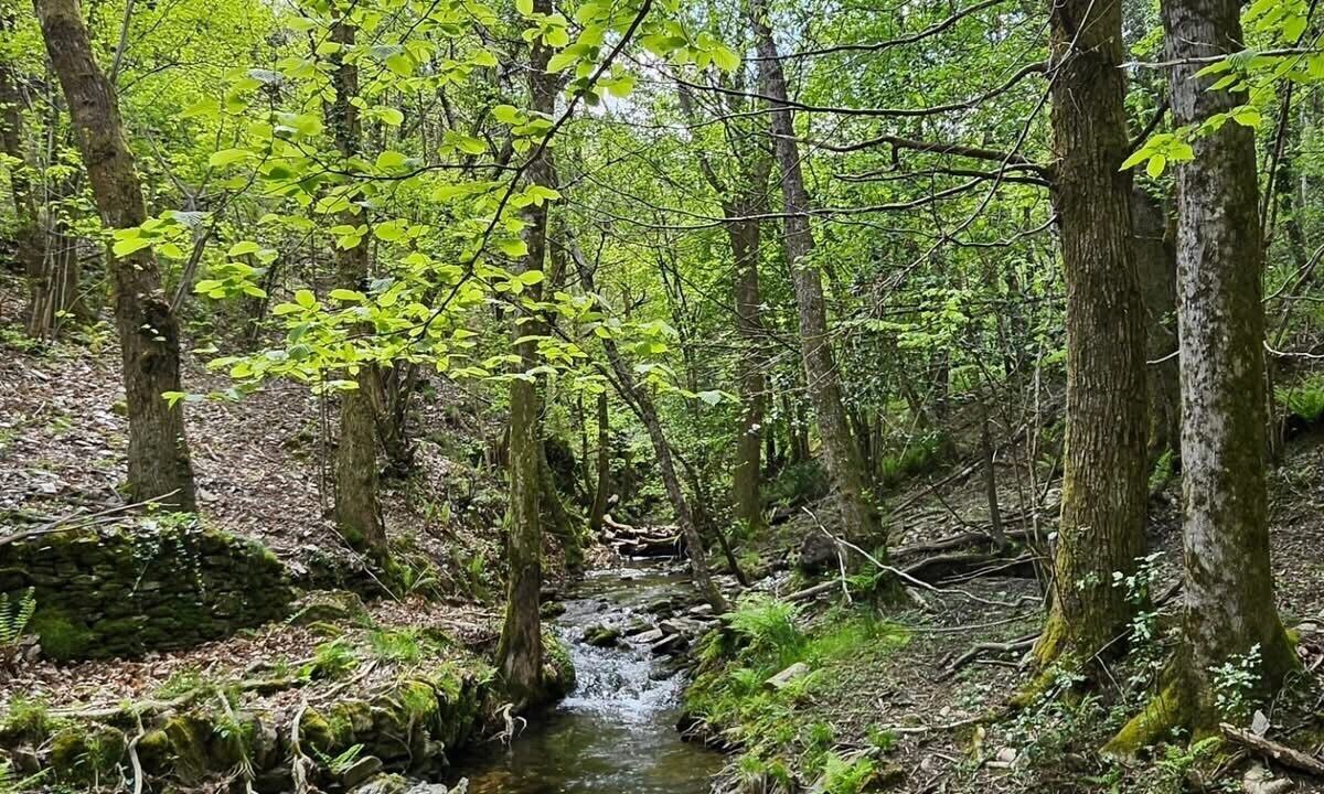 Photo of Outdoor in Saint-Frezal-de-Ventalon