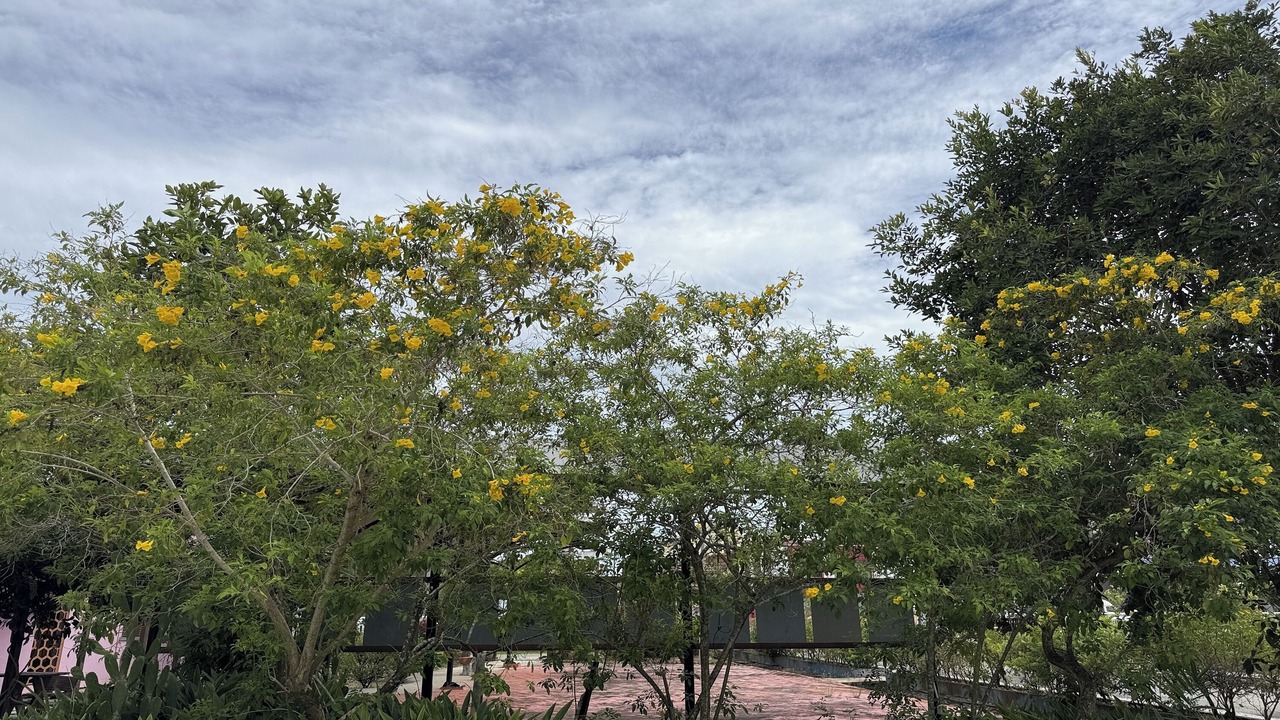 Photo of Outdoor in Kepala Batas