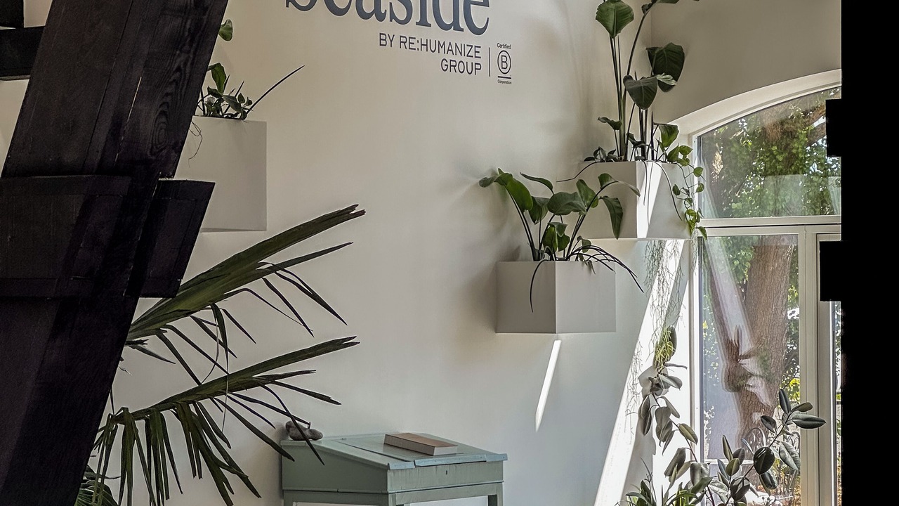 Photo of Others in Stege