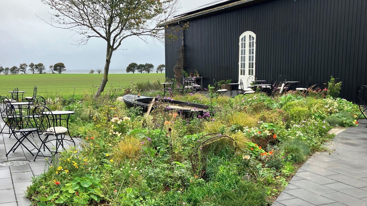 Photo of Patio Balcony in Stege