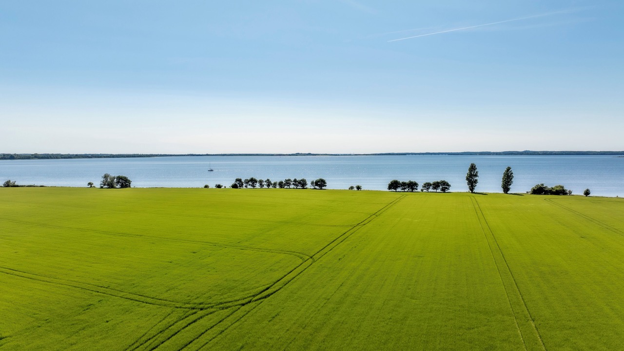 Photo of Outdoor in Stege