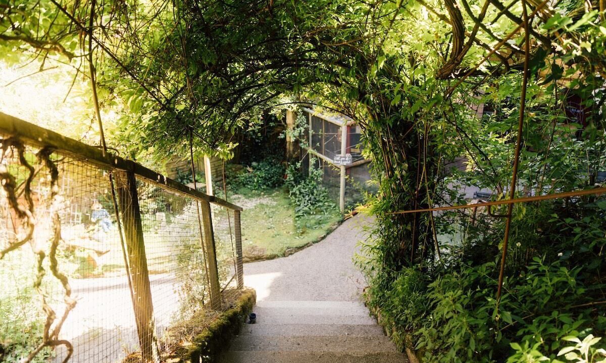 Photo of Outdoor in Doue-la-Fontaine