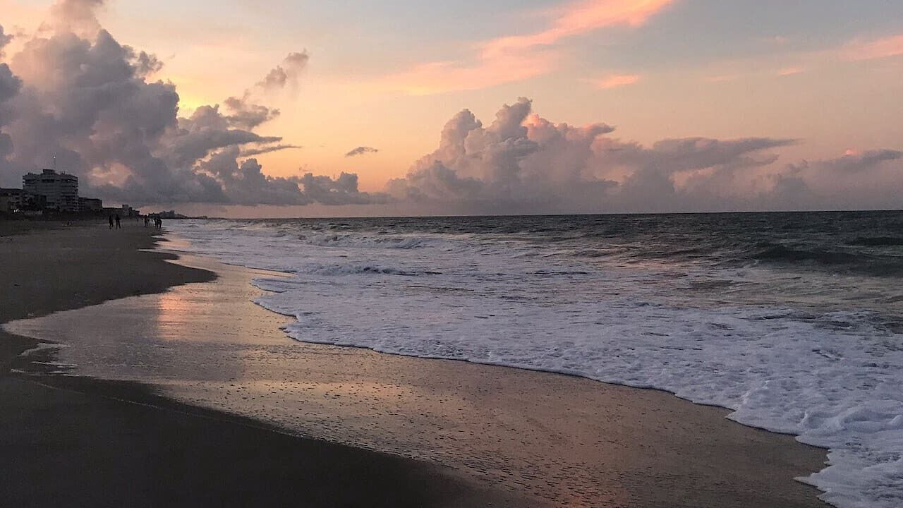 Photo of Outdoor in Tropic