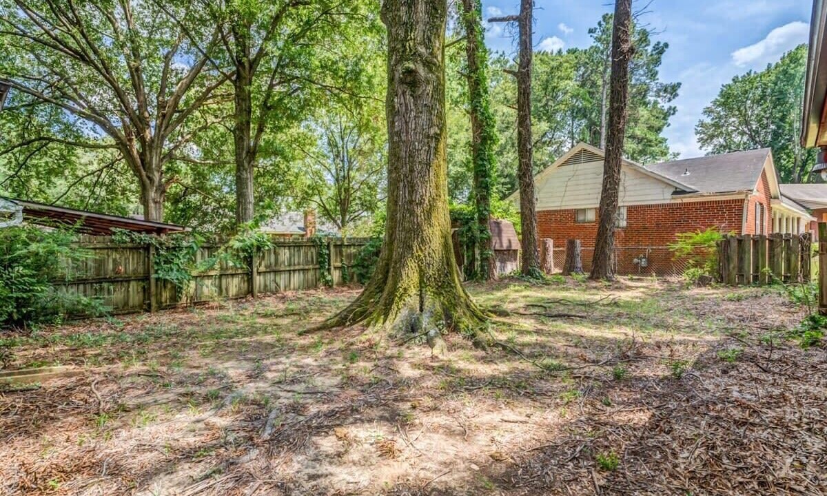 Photo of Outdoor in Memphis