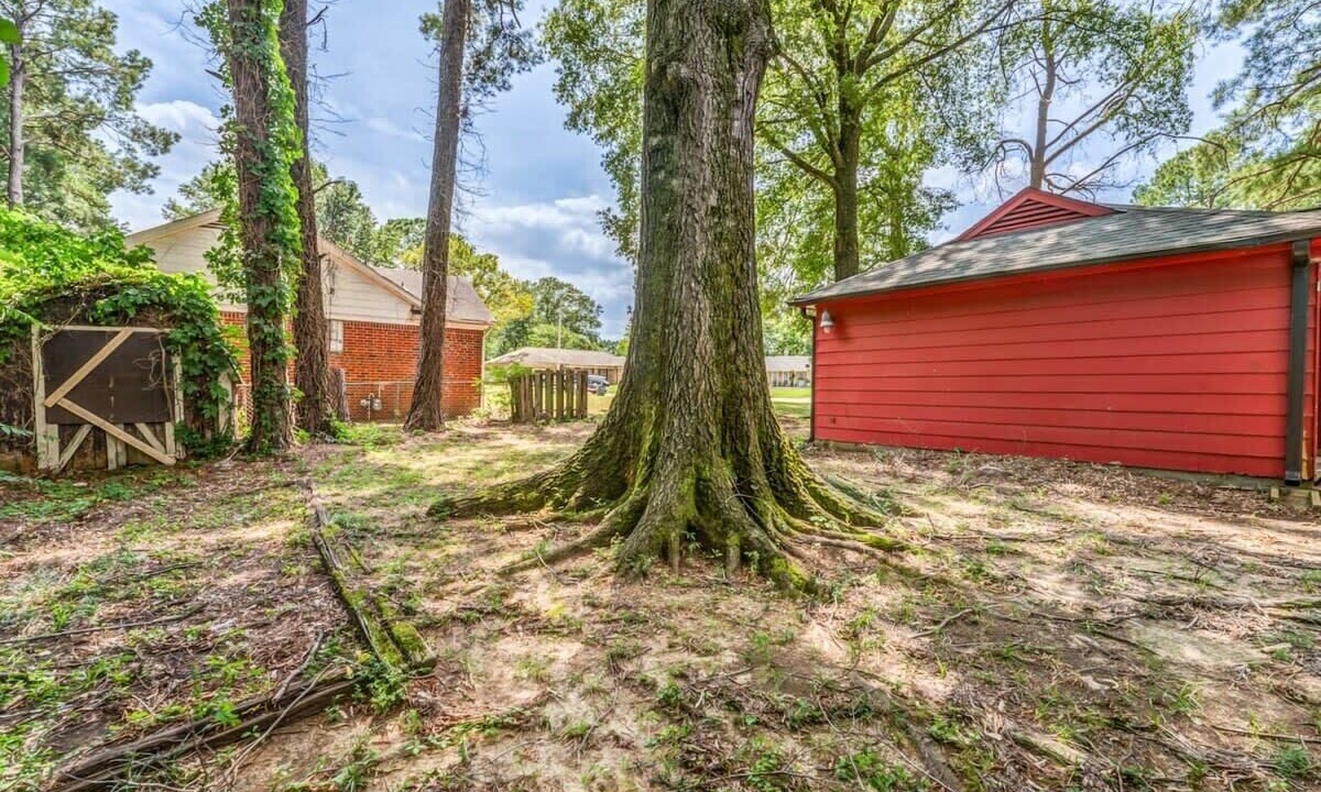 Photo of Outdoor in Memphis