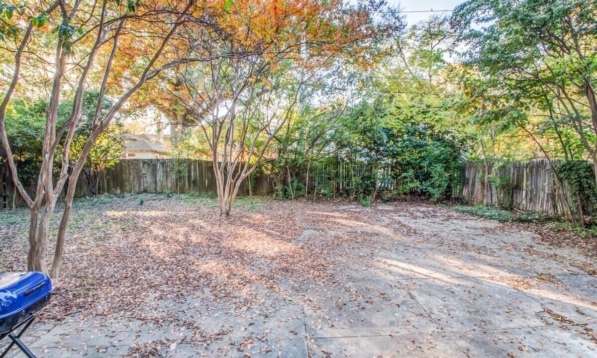 Photo of Outdoor in Evergreen