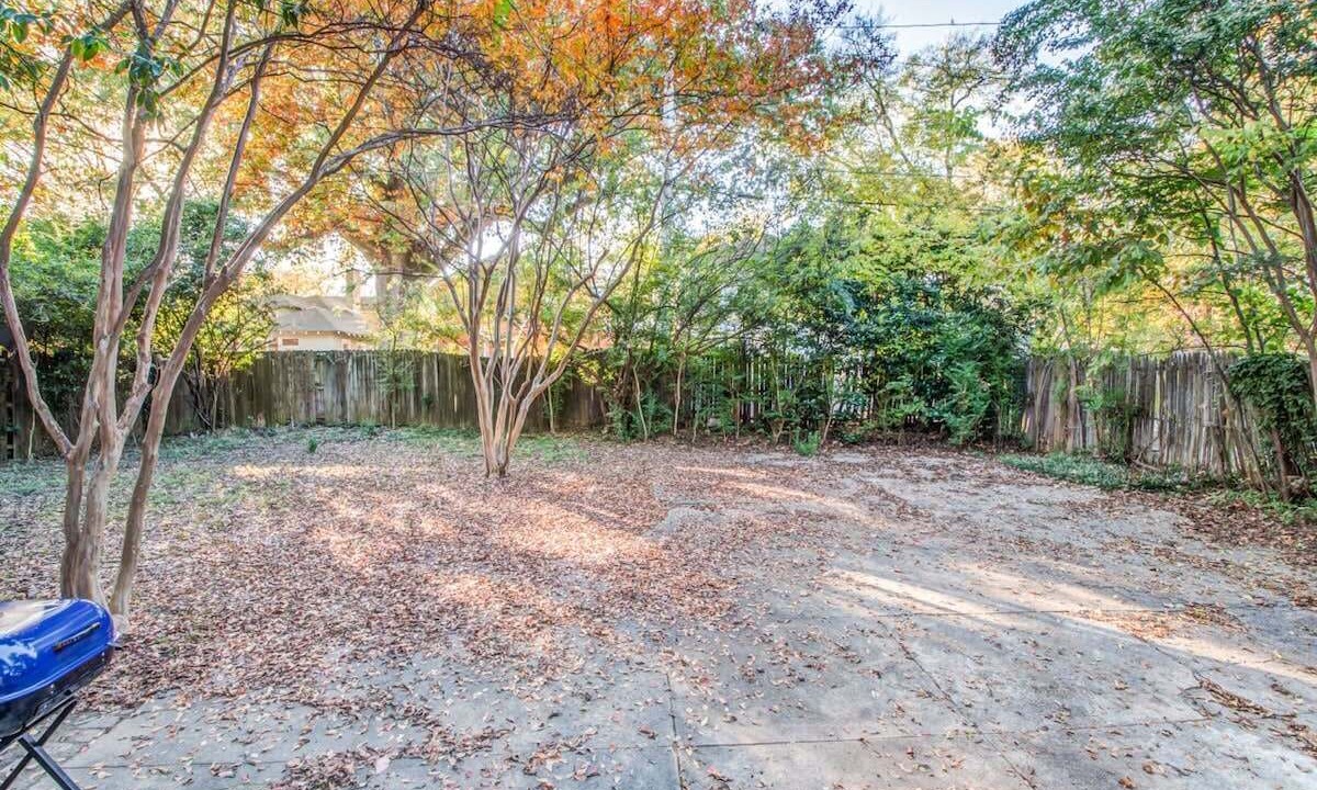 Photo of Outdoor in Evergreen