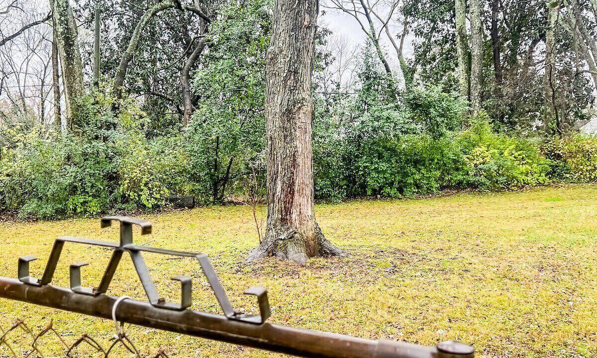 Photo of Outdoor in Normal