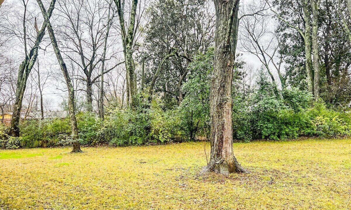 Photo of Outdoor in Normal