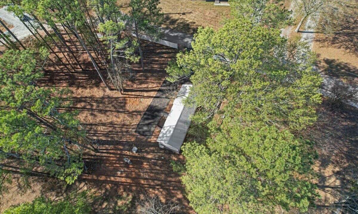 Photo of Outdoor in Owens Cross Roads