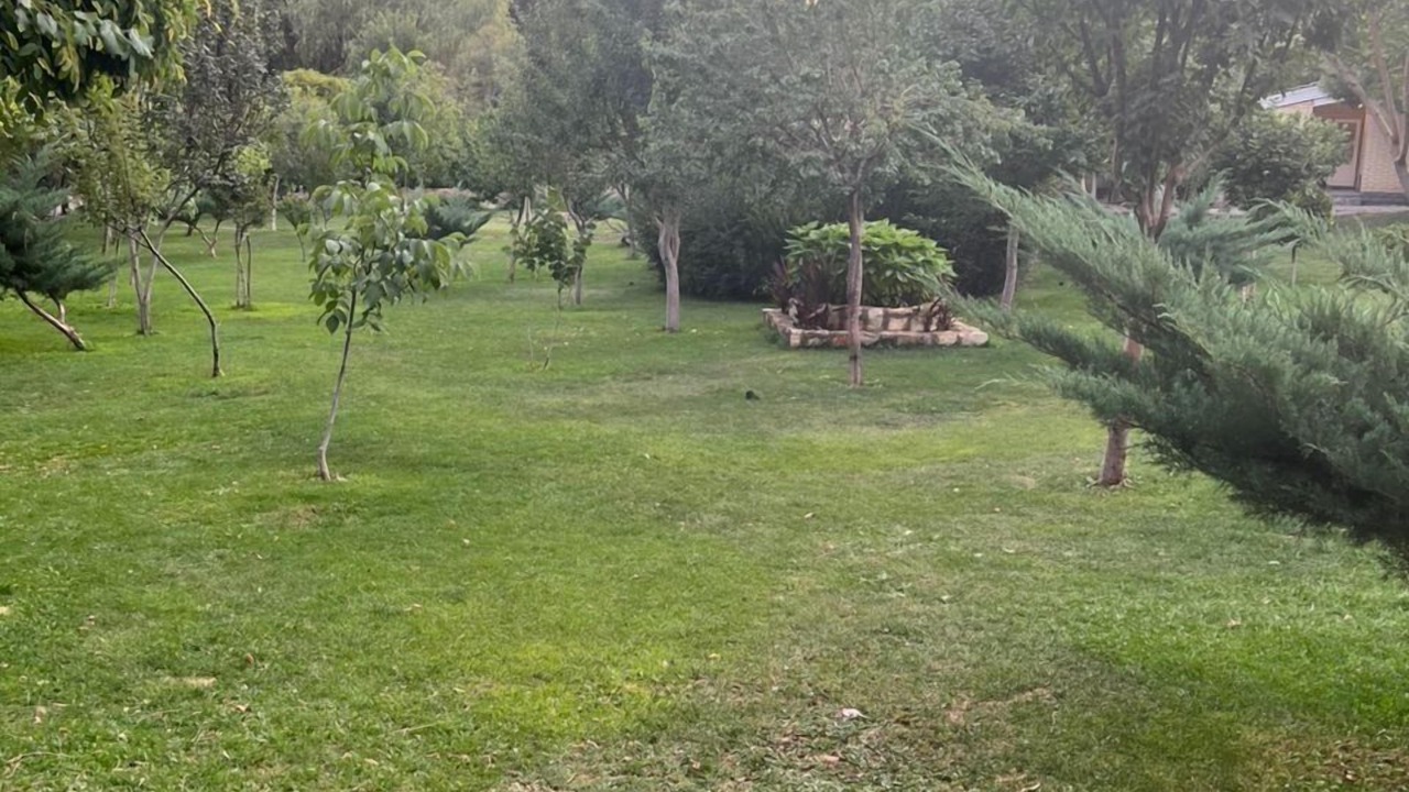 Photo of Outdoor in St.-Remy-de-Provence