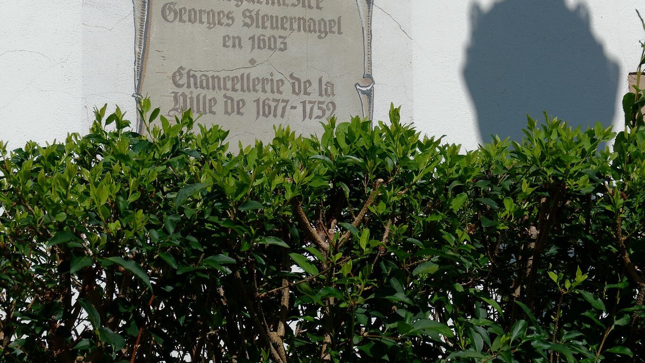 Photo of Others in Wissembourg