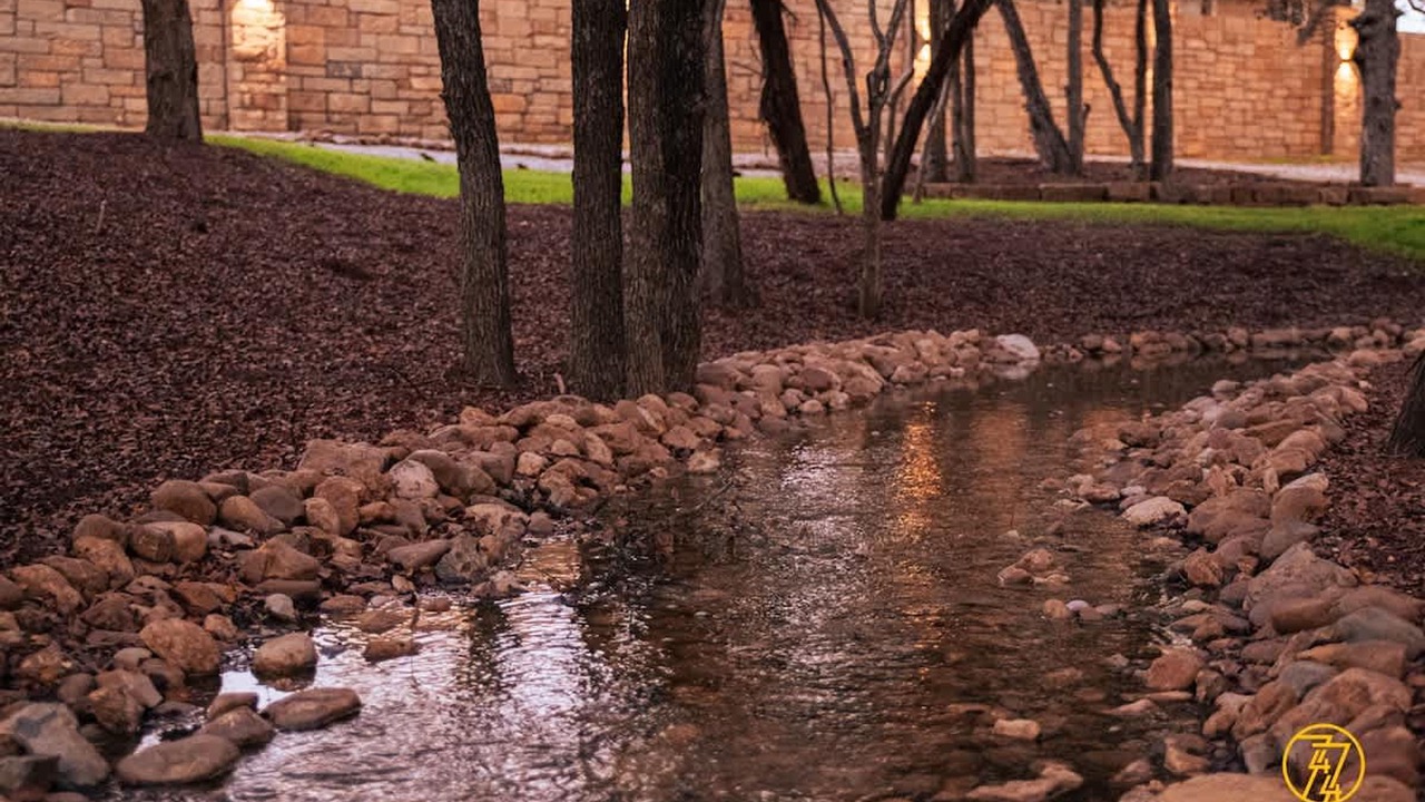 Photo of Others in Austin