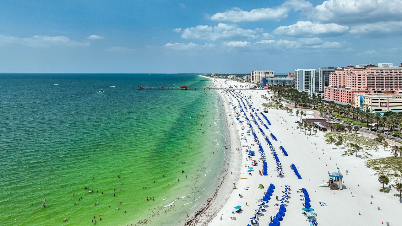 Photo of Others in Clearwater Beach