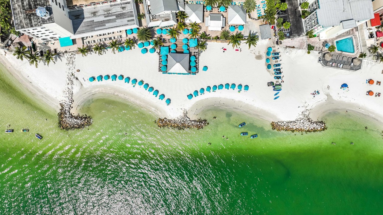 Photo of Others in Clearwater Beach
