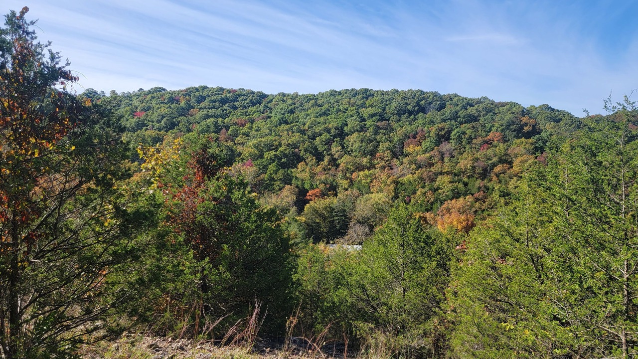 Photo of Others in Eureka Springs