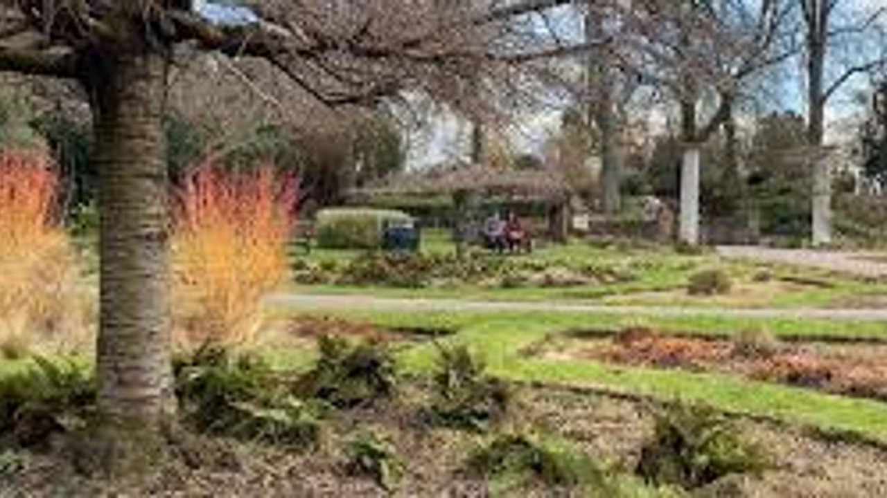 Photo of Others in Alperton