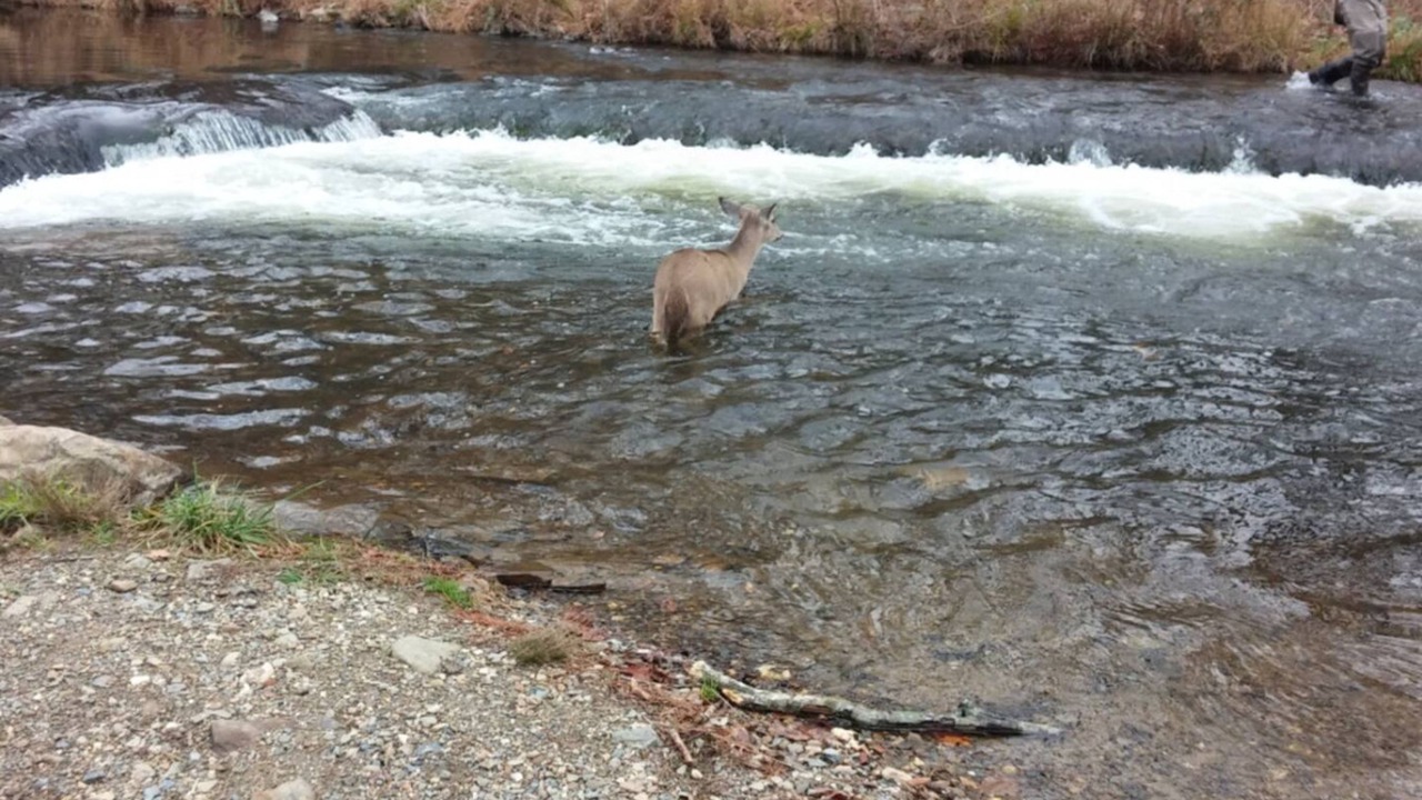 Photo of Others in Broken Bow