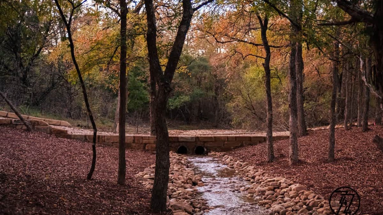 Photo of Others in Austin
