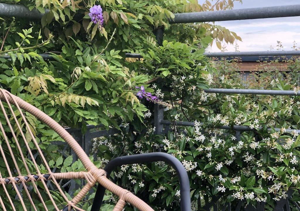 Photo of Outdoor in Fleurbaix