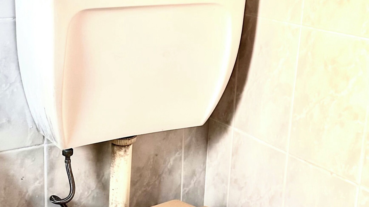 Photo of Others in Bankstown