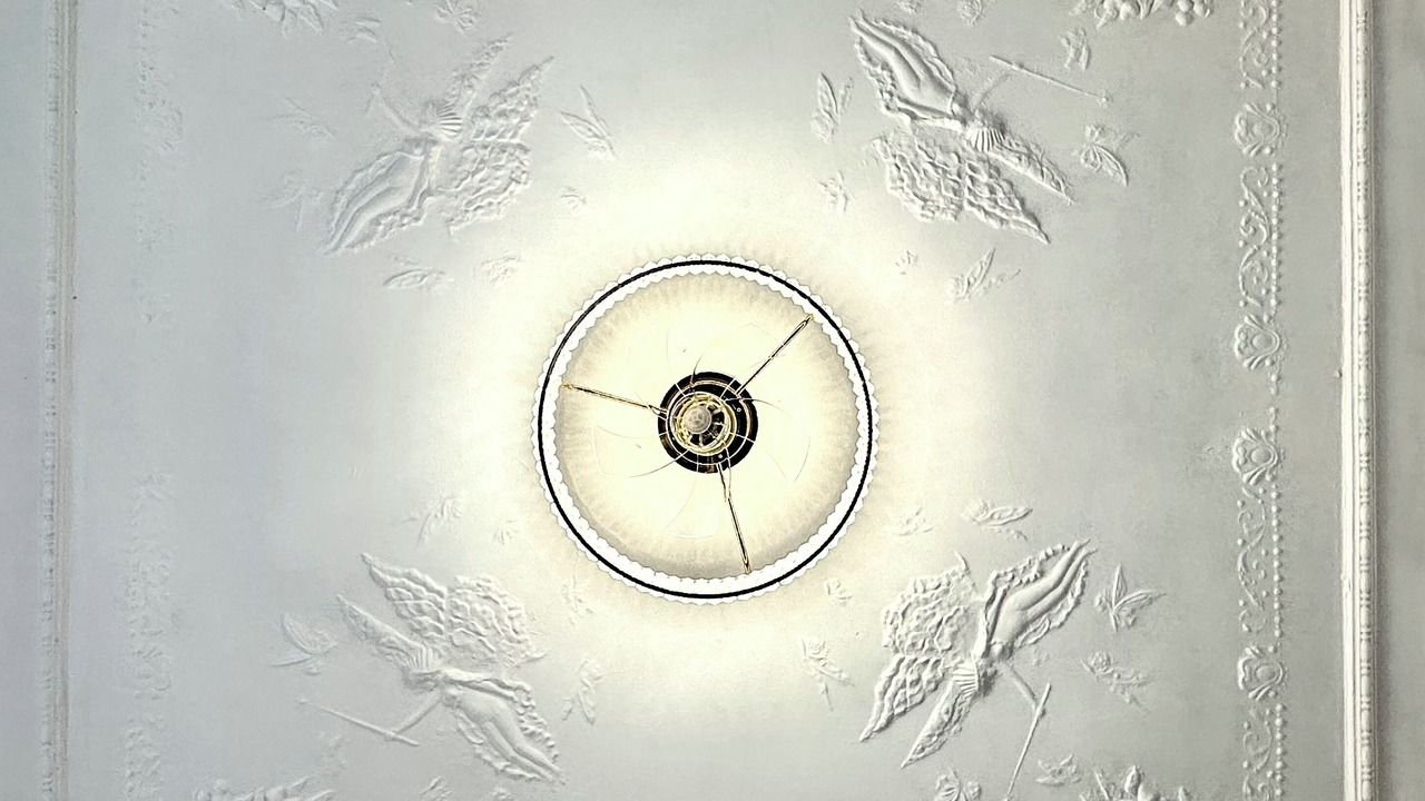 Photo of Others in Bankstown