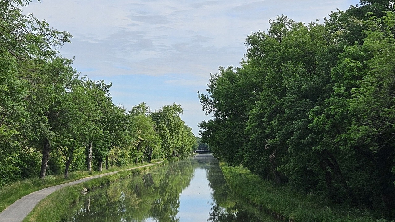 Photo of Outdoor in Bessens