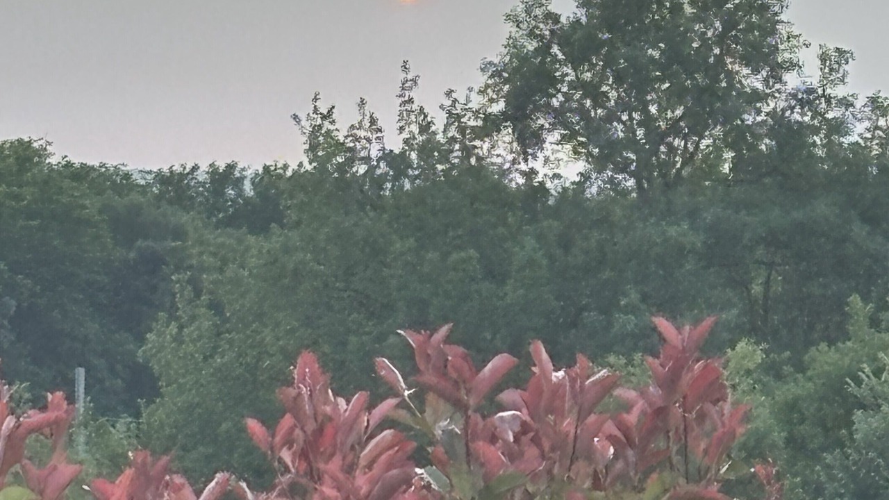 Photo of Outdoor in Bessens