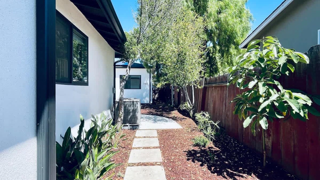 Photo of Others in Snail