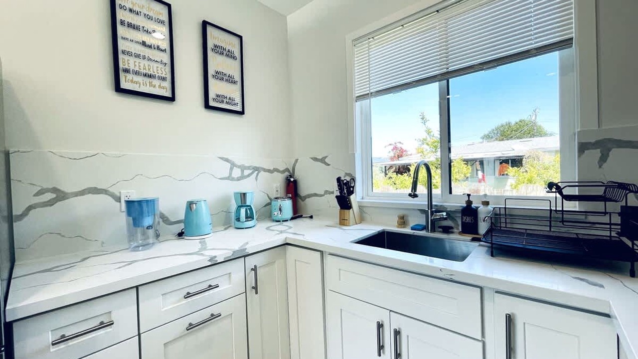 Photo of Others in Snail