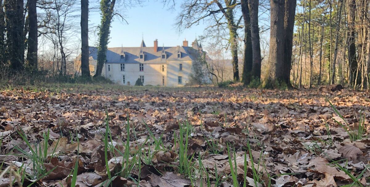 Photo of Outdoor in Sache