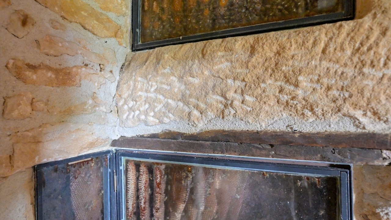 Photo of Outdoor in Beynac-et-Cazenac