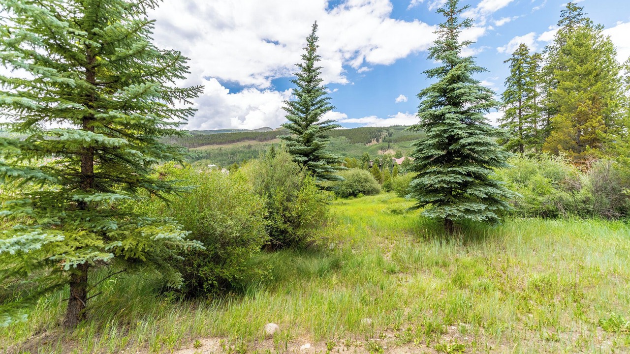 Photo of Outdoor in Mountain House