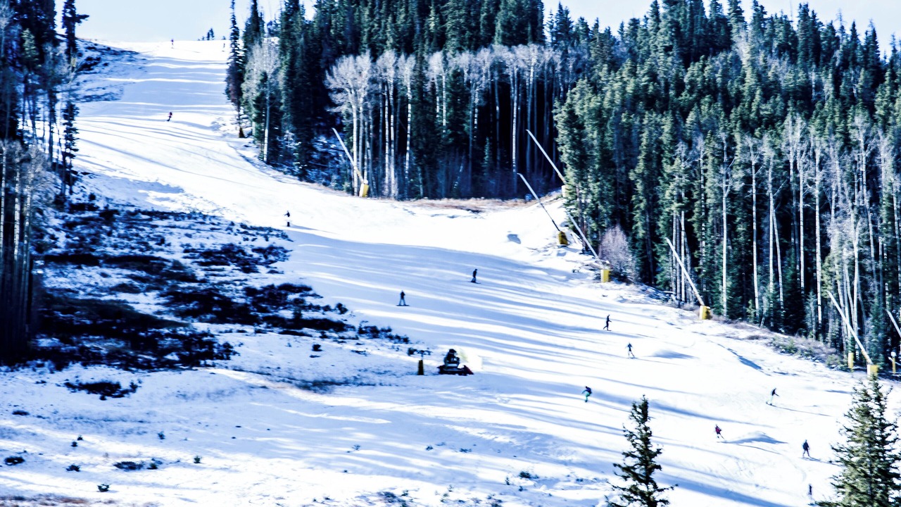 Photo of Outdoor in Wildernest