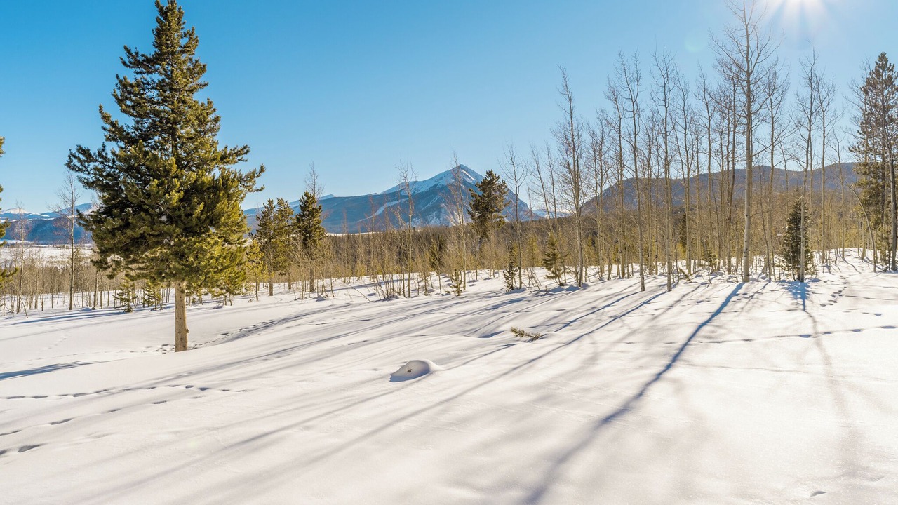 Photo of Outdoor in Wildernest