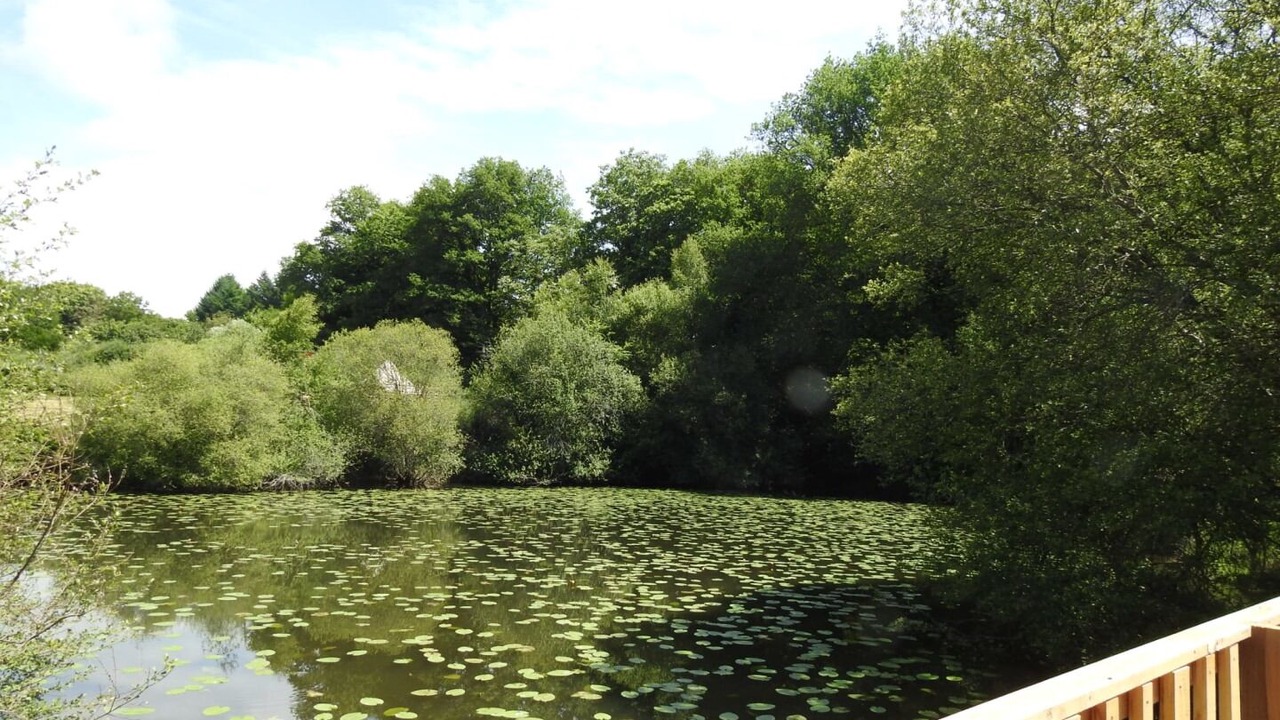 Photo of Patio Balcony in Savignac-Ledrier