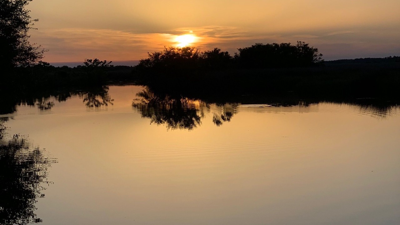 Photo of Outdoor in Ocean Springs