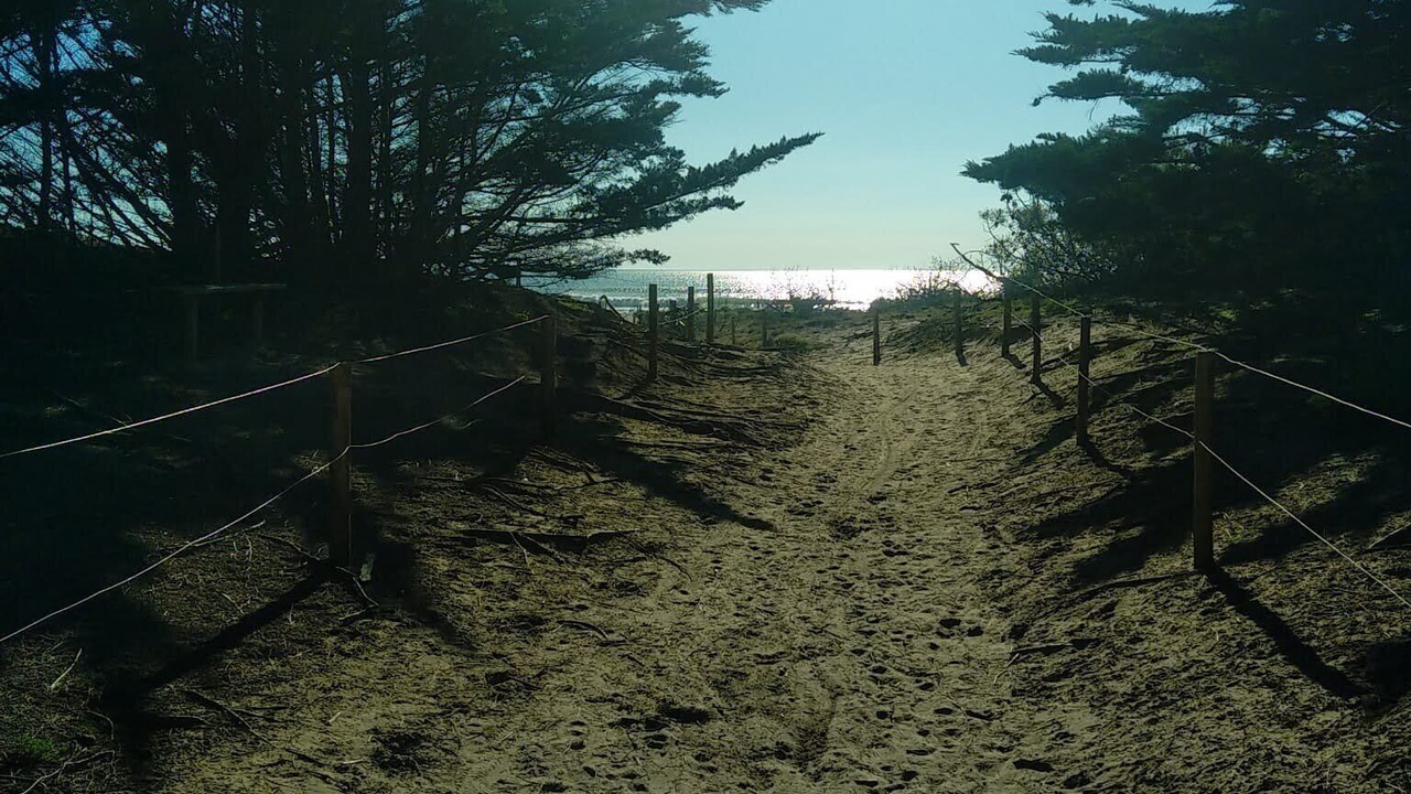 Photo of Others in Le Grand-Village-Plage