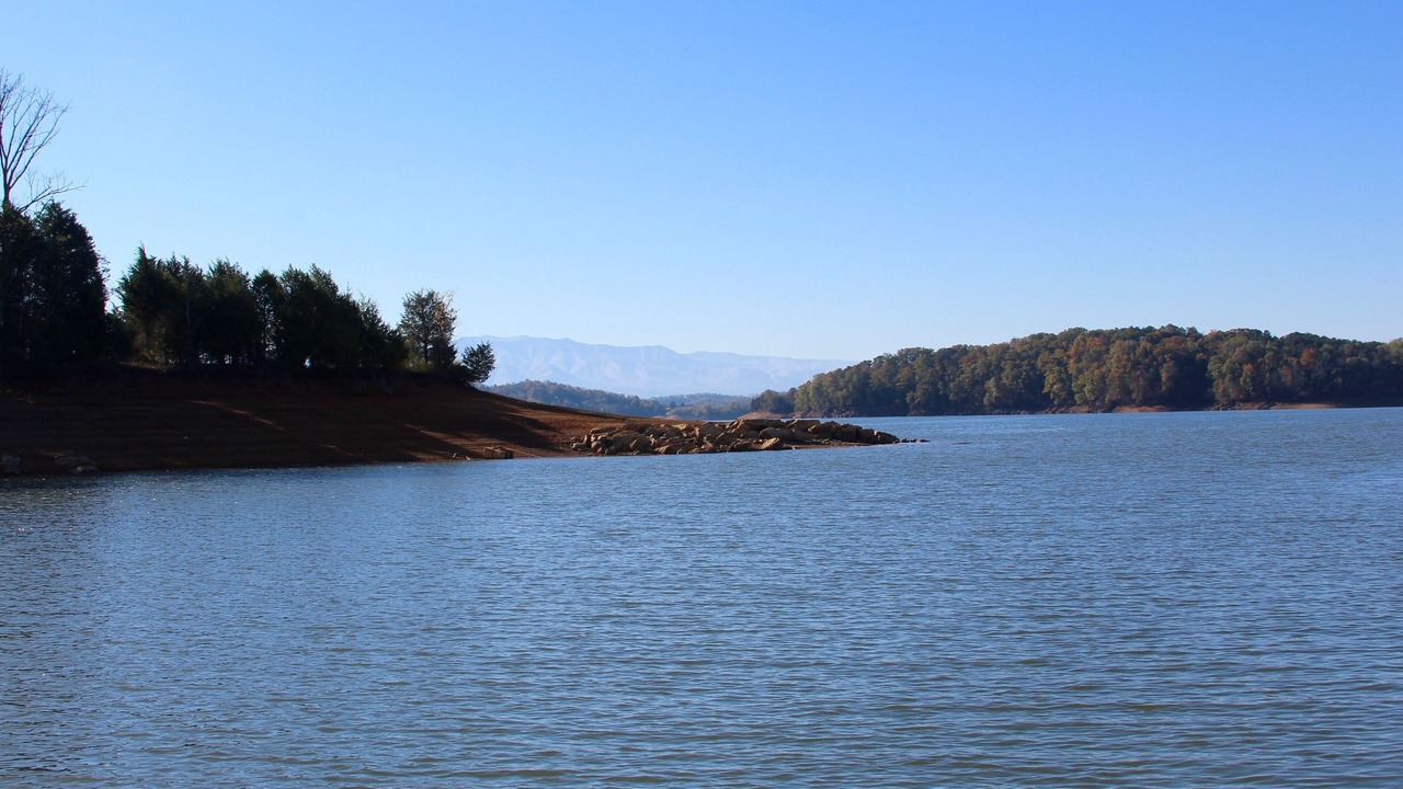 Photo of Others in Dandridge